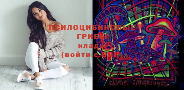 spice Балабаново