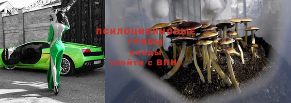 spice Балабаново